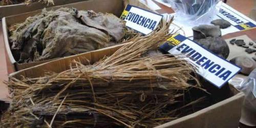 В Чили обнаружили три мумии, которым более чем 900 лет. 06 В Чили обнаружили три мумии, которым более чем 900 лет. 06