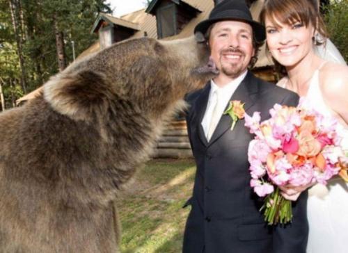 Парень двух медвежат возле мертвой медведицы нашел. 05