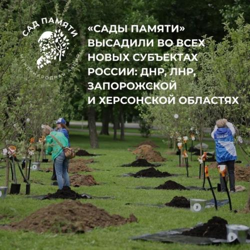 Высаживай деревья в память о героях вместе со звёздными артистами. 05