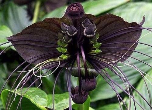 Он был ее первой любовью в школе, она сходила с ума по нему, писала стихи и мечтала о нем несколько лет.  