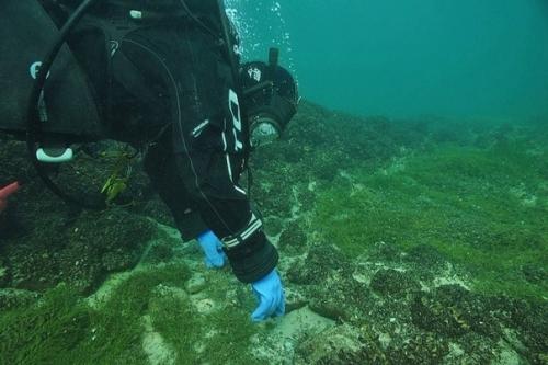 На дне боденского озера в Швейцарии обнаружили 5500-летние мегалиты. 01