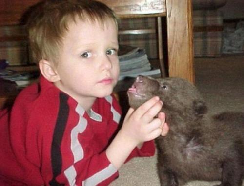 Парень двух медвежат возле мертвой медведицы нашел.  