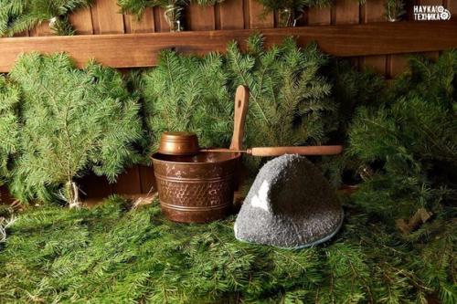 О пользе веников для бани!