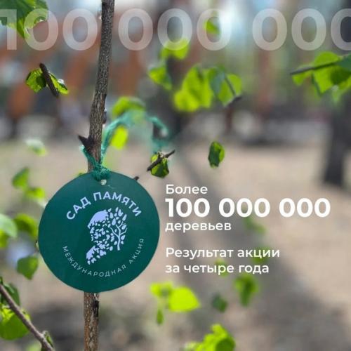Высаживай деревья в память о героях вместе со звёздными артистами. 06