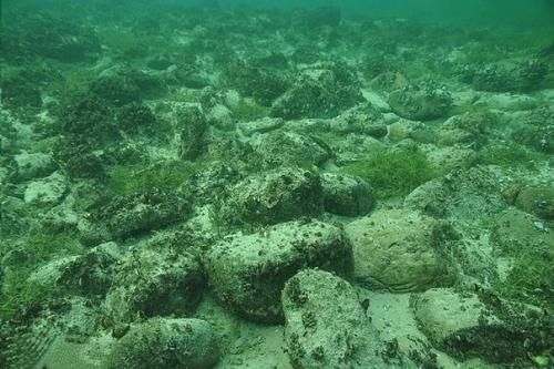 На дне боденского озера в Швейцарии обнаружили 5500-летние мегалиты. 02