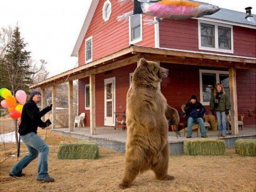 Парень двух медвежат возле мертвой медведицы нашел. 07