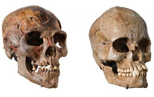 В сахаре жили настоящие великаны. 02 В сахаре жили настоящие великаны. 02