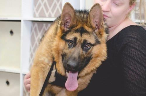 Когда внешность совсем не важна.