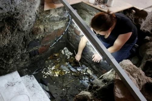 Волк в золотых доспехах. 01