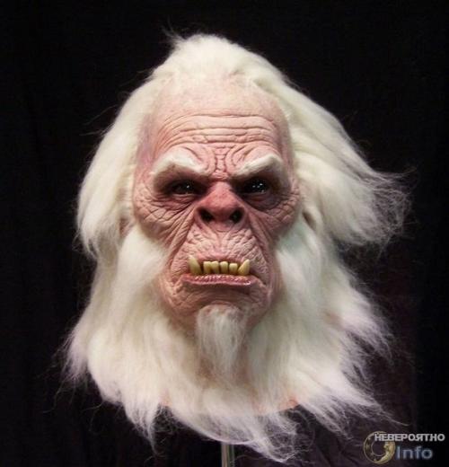 Где ты бродишь, снежный человек? 01