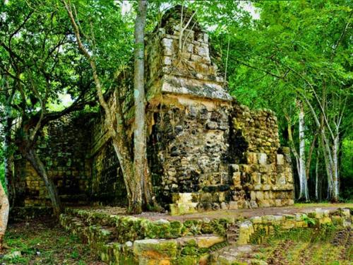 Огромный дворец майя. 05 Огромный дворец майя. 05