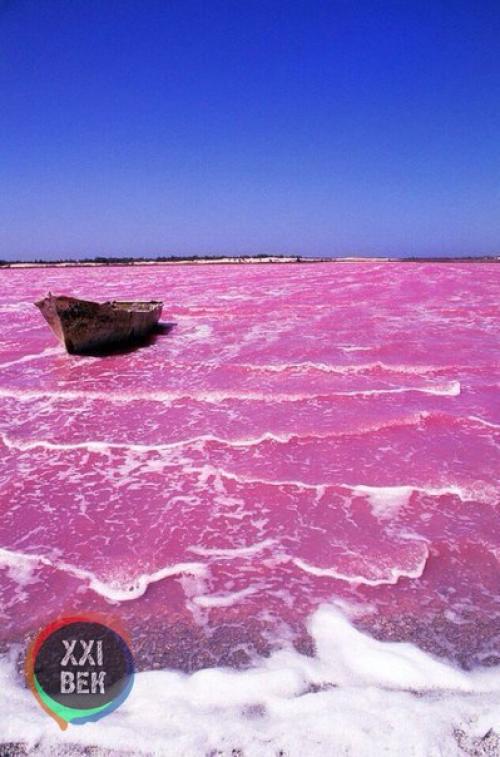 Озеро хиллер - самое необычное озеро в Австралии, главной особенностью которого является яркий розовый цвет воды. 03