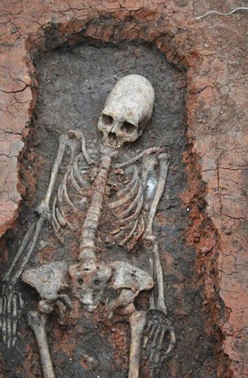 Тайна вытянутого черепа. Тайна вытянутого черепа.