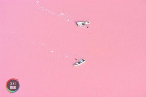 Озеро хиллер - самое необычное озеро в Австралии, главной особенностью которого является яркий розовый цвет воды. 01