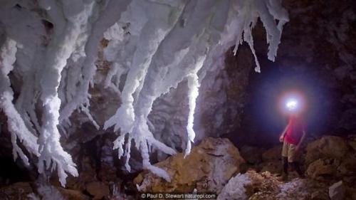 В земных ледниках просыпаются опасные болезни. 08 В земных ледниках просыпаются опасные болезни. 08