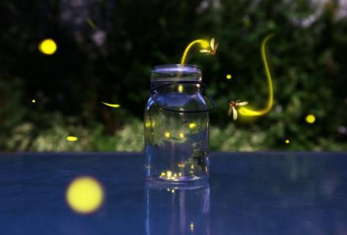 Ученые из южной Кореи улучшили органические светодиоды, вдохновившись светлячками.