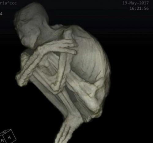 В перу возле плато наска нашли странную мумию. 03