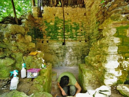 Огромный дворец майя. 03 Огромный дворец майя. 03