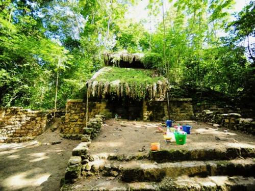 Огромный дворец майя. 04 Огромный дворец майя. 04