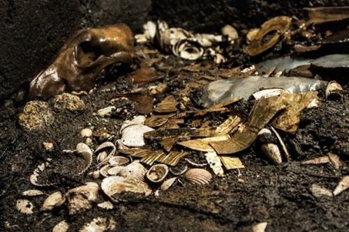 Волк в золотых доспехах. 02