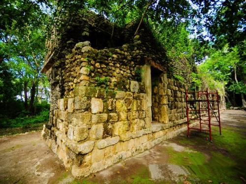 Огромный дворец майя. 06 Огромный дворец майя. 06