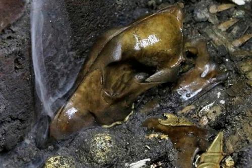 Волк в золотых доспехах. 04