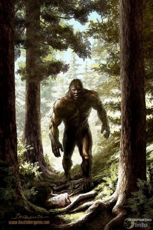 Где ты бродишь, снежный человек? 02