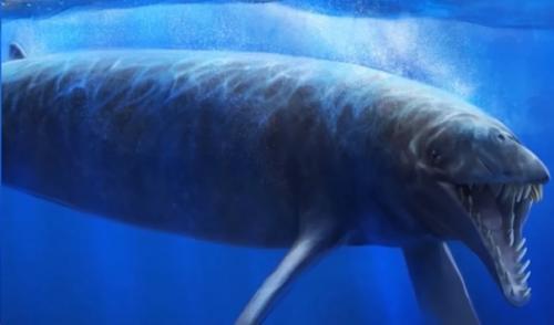 В случае если динозавры не вымерли - где же они живут сейчас? 02 В случае если динозавры не вымерли - где же они живут сейчас? 02