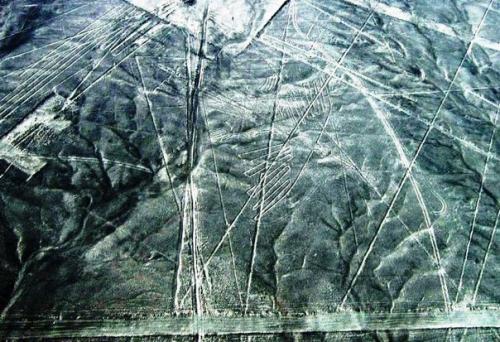 Кому твои послания, загадочная пустыня Наска? 08