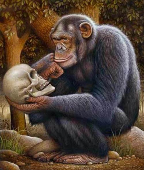 Сколько всего было человечеств? 
