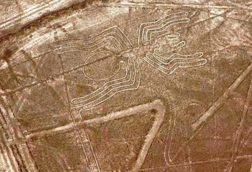 Кому твои послания, загадочная пустыня Наска? 06