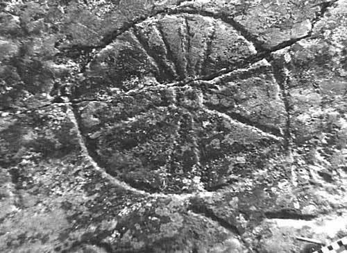 Неизвестная земля предков. 02 Неизвестная земля предков. 02