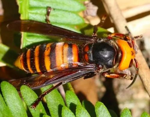 Будьте аккуратны, берегите себя! 02