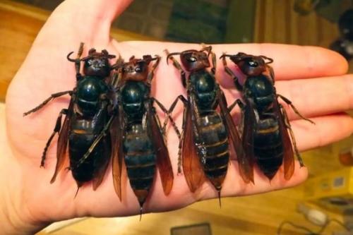 Будьте аккуратны, берегите себя! 01