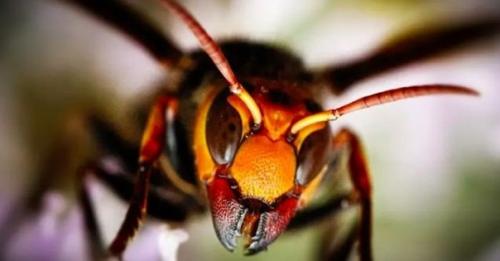 Будьте аккуратны, берегите себя! 04