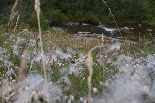 Лабиринты куркиёки. В Карелии есть местечко куркиёки, поблизости от которого находится каменный лабиринт. 05 Лабиринты куркиёки. В Карелии есть местечко куркиёки, поблизости от которого находится каменный лабиринт. 05
