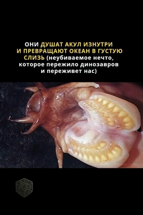 500 миллионов лет без изменений.  