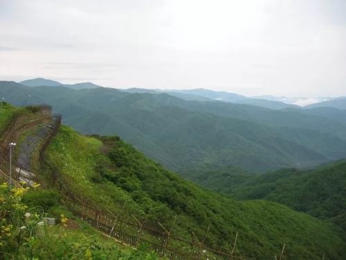 Удивительно гиблые места: как природа возвращает отнятое человеком. 01