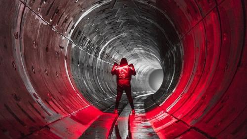 Австралийские гигантские дождевые черви, живущие в холмах юго-западного гипсленда, могут достигать 4 метров в длину. 01