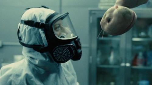 В США хотят снять мораторий на создание гибридов человека и животных.