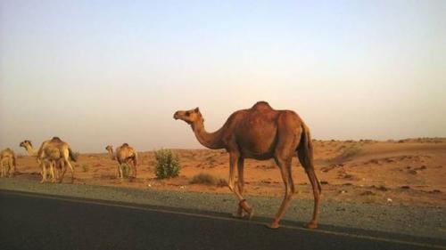 Пять легендарных затерянных городов, которых не нашли до сих пор. 04 Пять легендарных затерянных городов, которых не нашли до сих пор. 04
