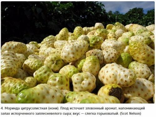 10 самых экзотических фруктов, которые должен попробовать каждый. 03