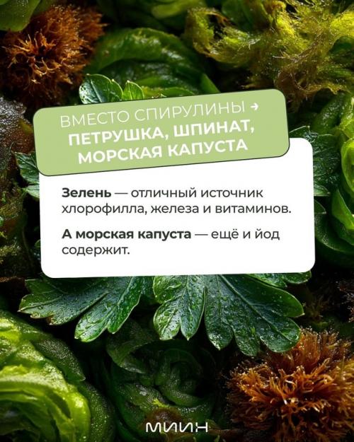 Знаете ли вы, что настоящие суперфуды - это не только дорогие ягоды годжи и семена чиа? 04