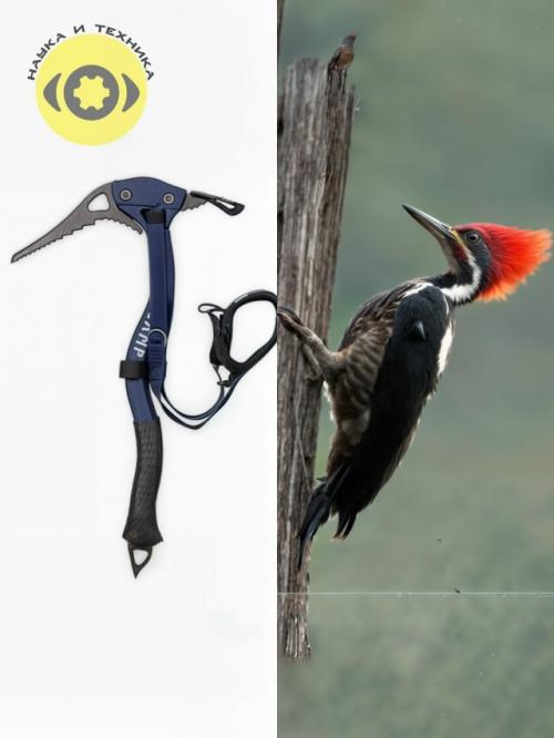 Приpoдa - лyчший инжeнep вpемени. 02 Приpoдa - лyчший инжeнep вpемени. 02