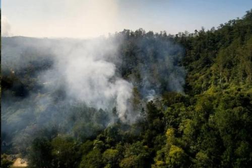 Пришло время услышать ученых: климатический кризис приближается. 02