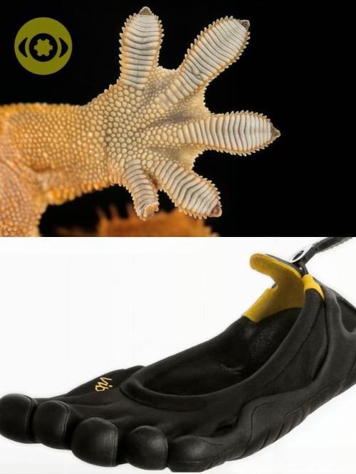 Приpoдa - лyчший инжeнep вpемени. 01 Приpoдa - лyчший инжeнep вpемени. 01