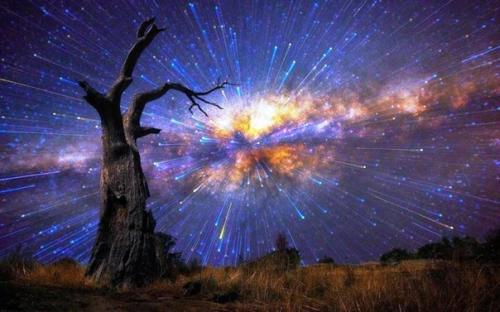 В ночь с 12 на 13 августа земляне смогут наблюдать красивейшее зрелище - звездный дождь. 08