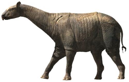 Черные огнедышащие фантомы. 06 Черные огнедышащие фантомы. 06