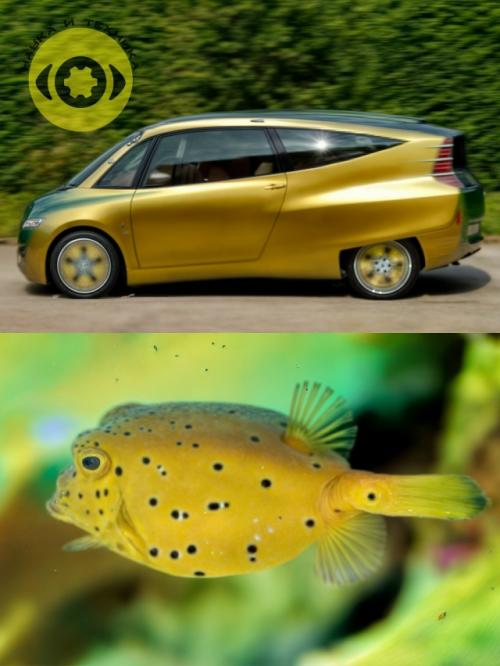 Приpoдa - лyчший инжeнep вpемени. 03 Приpoдa - лyчший инжeнep вpемени. 03