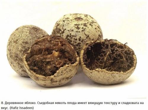 10 самых экзотических фруктов, которые должен попробовать каждый. 07